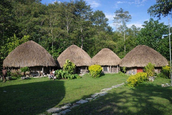 Honai Masyarakat Adat Koteka